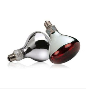 Infrared Bulb R125 (230–240V) & R40 (120–130V)